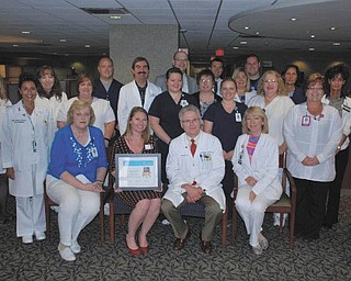 SPECIAL TO THE VINDICATOR
St. Elizabeth Youngstown Hospital’s stroke team and others involved in stroke care are, seated from left, Mary Ann Cashier, stroke center coordinator; Lory Winland of the American Heart/American Stroke Association; Dr. Donald Tamulonis and Karen Walters. Standing are Shannon Galgan, Stella Maiorana, Michelle George, Sarah Marotti, Nick Hrelac, Dr. Paul Chesis, Nicole Lester, Dr. Albert Cook, Mara Piersol, Jesse McClain, Erika Mikula, Mary Bigowsky, Dr. Chad Donley, Mary Ann Turjanica, Roselyn Cera, Marla Jones, Sue Nespeca and Daneen Mace.