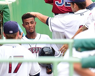 NILES, OHIO - JULY 17, 2015: Willi Castro #2 of the Scrappers is congratulated by teammates in the dugout after scoring a run in the 1st inning during Friday nights game at Eastwood Field. DAVID DERMER | THE VINDICATOR.Sam Taggerty #4 and Nate Winfrey #17 pictured.