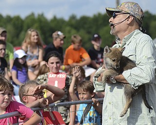 Katie Rickman | The Vindicator.Children look on as Michael Sandlofer of South Carolina holds a wolf pup at during a demonstration about the importance of saving wolfs at the Trumbull County Fairgrounds on Saturday, July 18, 2015.