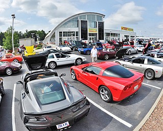 Jeff Lange | The Vindicator  JULY 19, 2015 - Hundreds of Corvette owners from neighboring areas gathered at Greenwood Chevrolet on Sunday for the Mahoning Valley Corvettes Club car show.