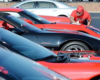 Jeff Lange | The Vindicator  JULY 19, 2015 - Bill Clemens of Warren takes care of some last-minute buffing on the hood of his red 2015 Corvette prior to the start of the Mahoning Valley Corvettes Club car show held at Greenwood Chevrolet in Austintown, Sunday morning.