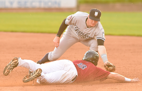 NILES, OHIO - JULY 22, 2015: Short stop Kyle Holder #14 of the Yankees tags out Connor Marabell #8 of the Scrappers after he was caught in a rundown in the 4th inning of Wednesday nights game at Eastwood Field. DAVID DERMER | THE VINDICATOR
