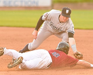 NILES, OHIO - JULY 22, 2015: Short stop Kyle Holder #14 of the Yankees tags out Connor Marabell #8 of the Scrappers after he was caught in a rundown in the 4th inning of Wednesday nights game at Eastwood Field. DAVID DERMER | THE VINDICATOR
