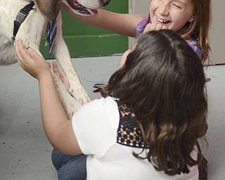 Katie Rickman | The Vindicator.Hannah Stout 8, on right,  smiles at her best friend Rebekah Victor 9 as they get kisses from Beau before the ceremony for foster dogs Izzy and Bear at The Learning Dog August 22, 2015.