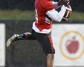 Jeff Lange | The Vindicator  SEPTEMBER 12, 2015 - YSU wide receiver Andre Stubbs drops a pass during first quarter action of Saturday evening's game in the pouring rain at Stambaugh Stadium.