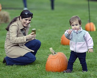 Katie Rickman | The Vindicator.Brenda Pratt smiles as she takes a photo of her 17-month-old daughter Liza as she walks from pumpkin to pumpkin hugging and kissing pumpkins as she walked through the walkways lines with pumpkins during the 12th Annual Pumpkin Walk at Twilight at Fellows Riverside Gardens Sunday evening.