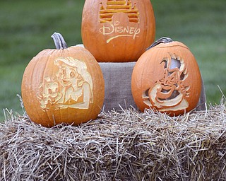 Katie Rickman | The Vindicator.Disney themed carved pumpkins on display during the 12th Annual Pumpkin Walk at Twilight at Fellows Riverside Gardens Sunday evening.
