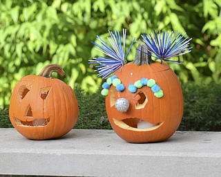 Katie Rickman | The Vindicator.Carved pumpkins on display in cluding a clown themed design, on right, during the 12th Annual Pumpkin Walk at Twilight at Fellows Riverside Gardens Sunday evening.