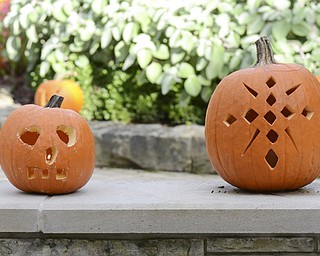 Katie Rickman | The Vindicator.Carved pumpkins on display during the 12th Annual Pumpkin Walk at Twilight at Fellows Riverside Gardens Sunday evening.