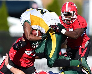 YOUNGSTOWN, OHIO - NOVEMBER 14, 2015: Terrell Williams #59 and Jaylin Kelly #40 of YSU tackle King Frazier #22 of North Dakota State during the 1st half of their game at Stambaugh Stadium Saturday afternoon. DAVID DERMER | THE VINDICATOR