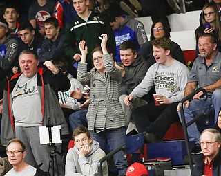 Fans cheer during the 2016 Josh Hephner Memorial Tournament at Austintown-Fitch High School, Saturday, Jan. 23, 2016, in Youngstown, Ohio. Alex Slitz for The Vindicator