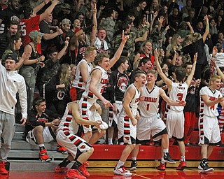 The Canfield High School bench and student section celebrates after a 3-pointer was made by Mason Mangapora to tie the game in the fourth quarter during Friday nights matchup against Poland High School at Canfield High School.  Dustin Livesay  |  The Vindicator  1/29/16  Canfield High School.