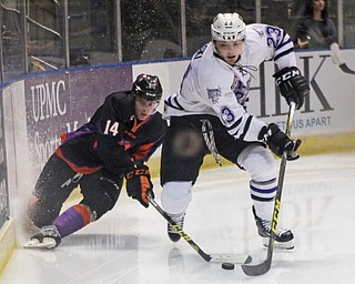 Youngstown Phantoms forward James Winkler (14) slides to the ice while stealing the puck from Andrew Peski (23) during the first period of Friday nigths matchup at the Covelli Center in downtown Youngstown.  Dustin Livesay  |  The Vindicator  2/5/16  Covelli Center.