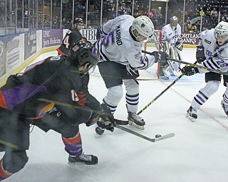 Youngstown Phantoms forward Matt Alvaro (19) tries to pass the puck between John Marino (5) and Mattias Goransson (28) of the Tri-City Storm during the first period of Friday nigths matchup at the Covelli Center in downtown Youngstown.  Dustin Livesay  |  The Vindicator  2/5/16  Covelli Center.