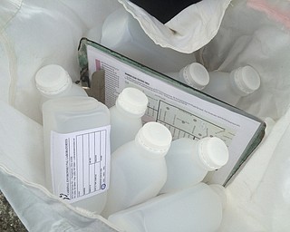      ROBERT K. YOSAY  | THE VINDICATOR..Passing out  the bottles  -  for lead testing..--30-...