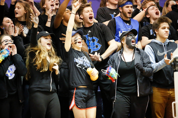Lakeview fans cheer during their Division II girls regional semifinal game against Elyria Catholic at Barberton High School, Tuesday, March 1, 2016, in Barberton, Ohio. Elyria Catholic beat Lakeview 50-44. Alex Slitz for The Vindicator
