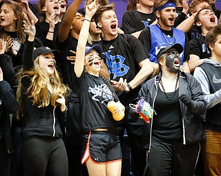Lakeview fans cheer during their Division II girls regional semifinal game against Elyria Catholic at Barberton High School, Tuesday, March 1, 2016, in Barberton, Ohio. Elyria Catholic beat Lakeview 50-44. Alex Slitz for The Vindicator