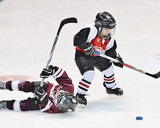 Jeff Lange | The Vindicator  SUN, MAR 6, 2016 - Seven-year-old Jace Lisk of Dayton Stealth (right) takes a shot as Johnstown Warriors' Lucas Lecorchick topples to the ice in the second period of their game during the Phantoms ADM Fantastic Finale 4-8 year old Tournament held at the Covelli Centre and Ice Zone in Boardman on Saturday and Sunday.
