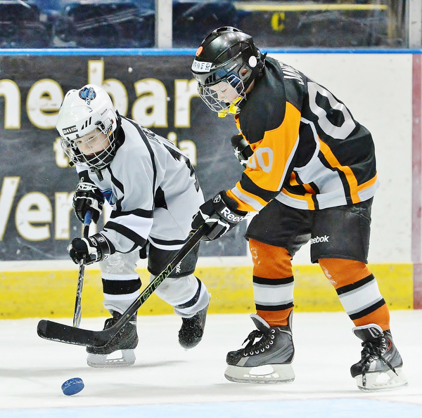 Jeff Lange | The Vindicator  SUN, MAR 6, 2016 - Youngstown's Tanner James (left) fights for the puck against Dayton Stealth's David Hass in the second half of their consolation game during the Phantoms ADM Fantastic Finale 4-8 year old Tournament held at the Covelli Centre and Ice Zone in Boardman on Sunday.