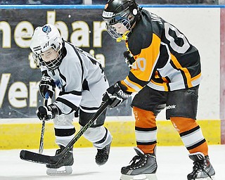 Jeff Lange | The Vindicator  SUN, MAR 6, 2016 - Youngstown's Tanner James (left) fights for the puck against Dayton Stealth's David Hass in the second half of their consolation game during the Phantoms ADM Fantastic Finale 4-8 year old Tournament held at the Covelli Centre and Ice Zone in Boardman on Sunday.