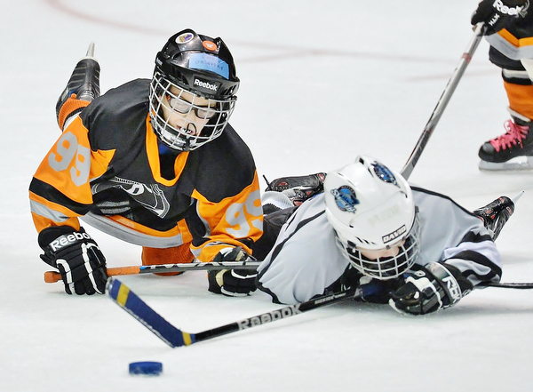 Jeff Lange | The Vindicator  SUN, MAR 6, 2016 - Seven-year-old Owen Orlovsky of Youngstown (left) dives for the puck against Dayton Stealth's David Hass (age 6) in the second half of their consolation round game during the Phantoms ADM Fantastic Finale 4-8 year old Tournament held at the Covelli Centre and Ice Zone in Boardman on Sunday.