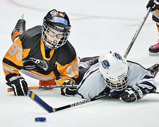 Jeff Lange | The Vindicator  SUN, MAR 6, 2016 - Seven-year-old Owen Orlovsky of Youngstown (left) dives for the puck against Dayton Stealth's David Hass (age 6) in the second half of their consolation round game during the Phantoms ADM Fantastic Finale 4-8 year old Tournament held at the Covelli Centre and Ice Zone in Boardman on Sunday.