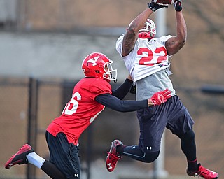 YOUNGSTOWN, OHIO - MARCH 18, 2016: Will Mahone (white) catches a pass after getting behind Jalyn Powell (red) during a 7 on 7 passing drill during the teams practice Friday afternoon at Stambaugh Stadium. DAVID DERMER | THE VINDICATOR