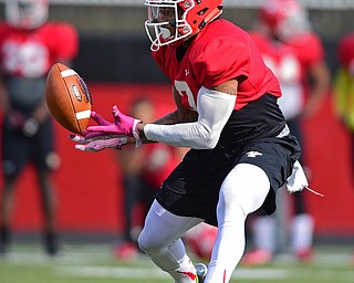 YOUNGSTOWN, OHIO - MARCH 18, 2016: LeRoy Alexander #3 of YSU attempts to intercept a pass during a 7 on 7 passing drill during the teams practice Friday afternoon at Stambaugh Stadium. DAVID DERMER | THE VINDICATOR