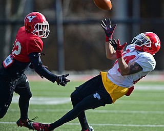YOUNGSTOWN, OHIO - MARCH 18, 2016: Darien Townsend (white) falls backward before catching the football after getting behind Kenny Bishop (red) during the teams practice Friday afternoon at Stambaugh Stadium. DAVID DERMER | THE VINDICATOR