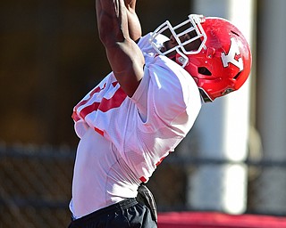 YOUNGSTOWN, OHIO - MARCH 18, 2016: Donovan McWilson #32 of YSU catches a pass in the corner of the end zone during a passing drill during the teams practice Friday afternoon at Stambaugh Stadium. DAVID DERMER | THE VINDICATOR