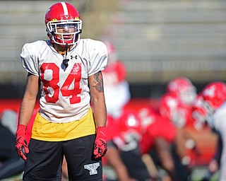 YOUNGSTOWN, OHIO - MARCH 18, 2016: Darien Townsend #84 of YSU looks to the sideline for the play call during team drills during the teams practice Friday afternoon at Stambaugh Stadium. DAVID DERMER | THE VINDICATOR