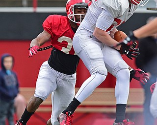 YOUNGSTOWN, OHIO - MARCH 23, 2016: Zack Torbert (white) catches a pass in the air before David Rivers (red) can wrap him up and tackle him during the teams practice Wednesday afternoon at Stambaugh Stadium. DAVID DERMER | THE VINDICATOR