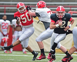 YOUNGSTOWN, OHIO - MARCH 23, 2016: Ricky Davis #12 of YSU tucks the ball to run away from backside pressure from Shereif Bynum (red) during the teams practice Wednesday afternoon at Stambaugh Stadium. DAVID DERMER | THE VINDICATOR..James Wilson (white) pictured.