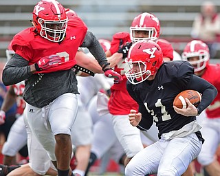 YOUNGSTOWN, OHIO - MARCH 23, 2016: Trent Hosick #11 of YSU braces himself before being hit hard in the backfield by Avery Moss (red) for a loss during the teams practice Wednesday afternoon at Stambaugh Stadium. DAVID DERMER | THE VINDICATOR..