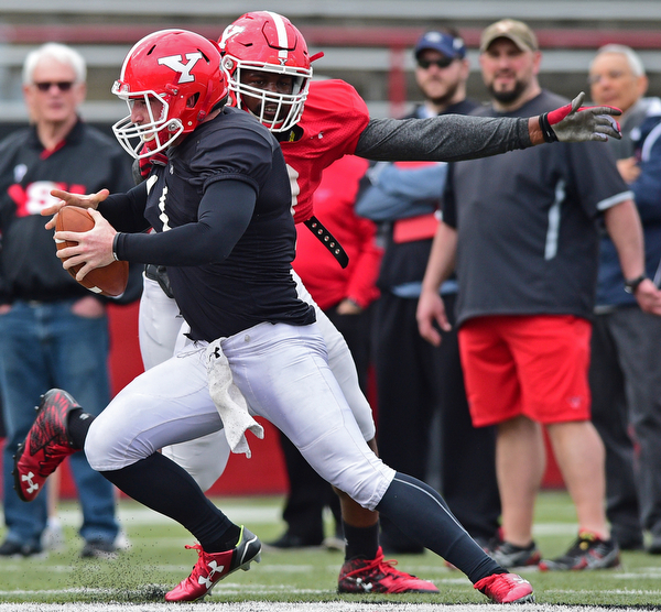 YOUNGSTOWN, OHIO - MARCH 23, 2016: Trent Hosick #11 of YSU is sacked in the backfield for a loss by Avery Moss (red) during the teams practice Wednesday afternoon at Stambaugh Stadium. DAVID DERMER | THE VINDICATOR..