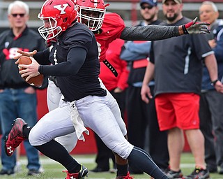 YOUNGSTOWN, OHIO - MARCH 23, 2016: Trent Hosick #11 of YSU is sacked in the backfield for a loss by Avery Moss (red) during the teams practice Wednesday afternoon at Stambaugh Stadium. DAVID DERMER | THE VINDICATOR..