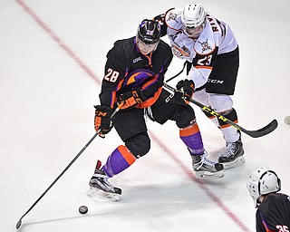 YOUNGSTOWN, OHIO - APRIL 1, 2016: Connor Moore #28 of the Phantoms is checked by Nick Rivera #23 of Omaha knocking him off the puck during the 1st period of Friday nights game at the Corelli Centre. DAVID DERMER | THE VINDICATOR