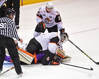 YOUNGSTOWN, OHIO - APRIL 1, 2016: Goalie Zacharias Skog #1 of Omaha takes a swing at Matt Alvaro #19 of the Phantoms after he was tripped and slid into him on a break away during the 1st period of Friday nights game at the Covelli Centre. DAVID DERMER | THE VINDICATOR..Nathan Krusko #26 of Omaha pictured.