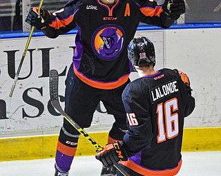 YOUNGSTOWN, OHIO - APRIL 2, 2016: Chase Pearson #22 of the Phantoms celebrates with teammate Noah Lalonde #16 after scoring the 2nd goal of the game during the 2nd period of Saturday nights game at the Corelli Centre. DAVID DERMER | THE VINDICATOR.
