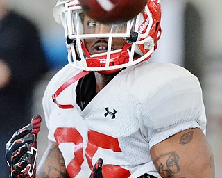 Jeff Lange | The Vindicator  SAT, APRIL 2, 2016 - YSU tailback Roosevelt Griffin looks to catch a pass during Saturday's football practice at the Watson and Tressel Training Site.