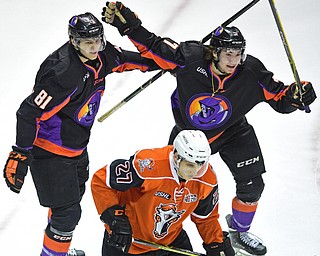 YOUNGSTOWN, OHIO - APRIL 2, 2016: Eric Esposito #7 of the Phantoms is congratulated by teammate Garrett Hall #81 after scoring the 1st goal of the game during the 1st period of Saturday nights game at the  Covelli Centre. DAVID DERMER | THE VINDICATOR..Jake Massie #27 of the Lancers pictured.