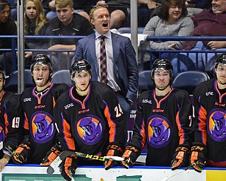 YOUNGSTOWN, OHIO - APRIL 2, 2016: Head coach John Wroblewki of the Phantoms shot instructions from the bench during the 2nd period of Saturday nights game at the  Covelli Centre. DAVID DERMER | THE VINDICATOR.