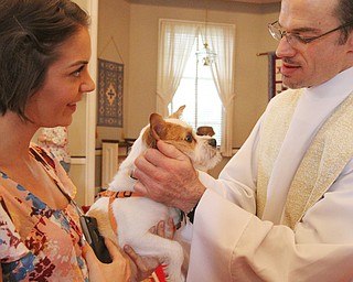 William d Lewis the vindicator  Rev Shawn dickerson of St James Episcopal church in Boardman blesses " Jerry" a dog owned by Elin(correct) Renstrom of Struthers during 5-1-16 pet blessing.