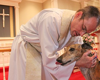 William d Lewis the vindicator   Rev Shawn Dickerson of St. James episcopal church in Boardman blesses Rydell, a dog owned by Heidi Peditto of Boardman during 5-1-16 pet blessing.
