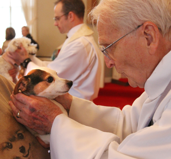 William d Lewis the vindicator  Rev John Wigle, retired St James episcopal, blesses Milo, a dog owned by Rose Tufaro of Poland during pet blessing 5-1-16 at St James episcopal in Boardman.