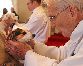 William d Lewis the vindicator  Rev John Wigle, retired St James episcopal, blesses Milo, a dog owned by Rose Tufaro of Poland during pet blessing 5-1-16 at St James episcopal in Boardman.
