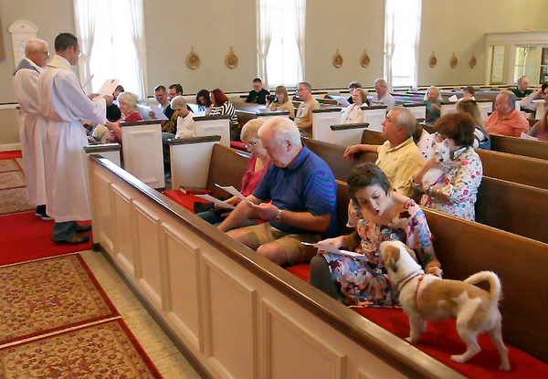 William D Lewis the vindicator Elin Renstrom of Struthers tries to quiet her dog Jerry during pet blessing 5-1-16 at St James episcopal in Boardman. Officiating during the ceremony are Rev John wigle, left, and Shawn dickerson.