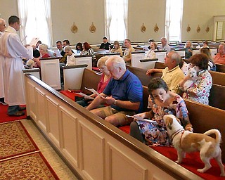 William D Lewis the vindicator Elin Renstrom of Struthers tries to quiet her dog Jerry during pet blessing 5-1-16 at St James episcopal in Boardman. Officiating during the ceremony are Rev John wigle, left, and Shawn dickerson.