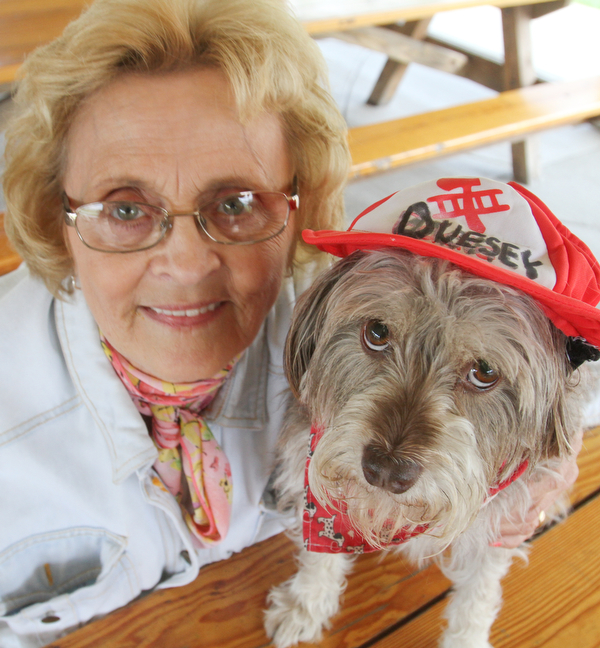 William D. Lewis The vindicator  Duessy, a dog owned by Mary Zalac of coitsville, wheels his way along ina toy firetruck during dog event in Boardman Park 5-4-16.