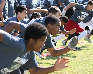 Nikos Frazier | The Vindicator..Players gathered on Thursday, June 9, 2016 to be apart of the Warren Harding Elite Camp and be coached by Michigan Head Coach, Jim Harbaugh.